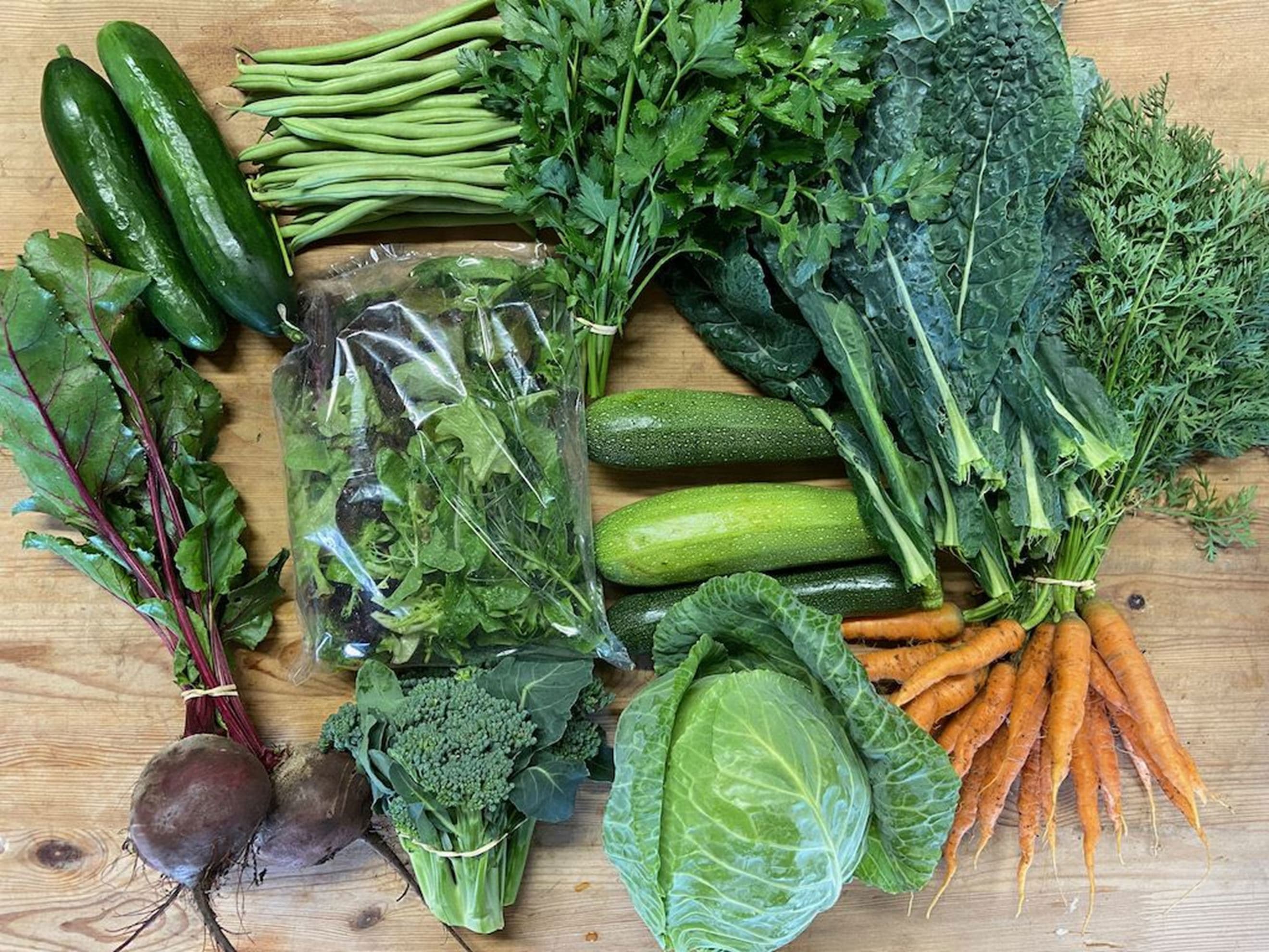 Large Veg Box